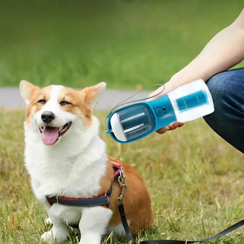 Walk-Ready Water Bottle — product detail